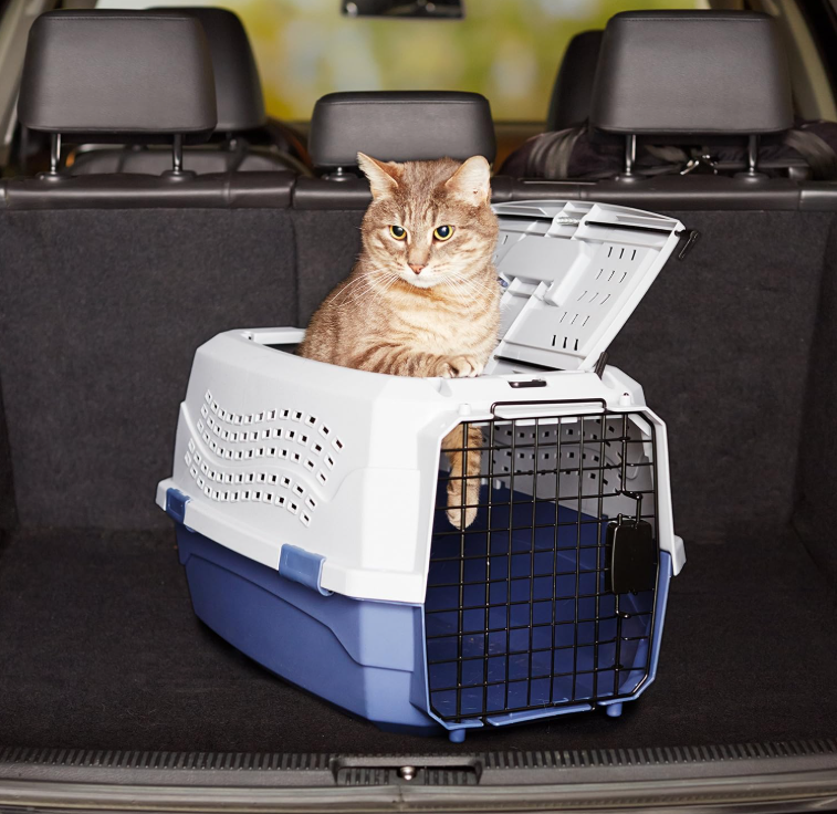 Evmkhd 23-Inch Double Door Top-Loading Hard-Sided Pet Carrier, Portable Plastic Pet Travel Crate with Steel Wire Doors, Secure Ventilation, Carry Handle, for Cats and Small to Medium Dogs, Gray and Blue